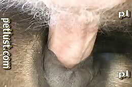 close up