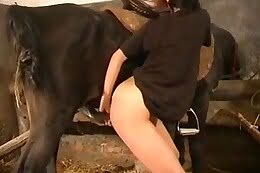 hardcore bestiality