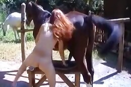 hd bestiality porn