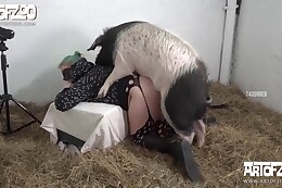 pet sex