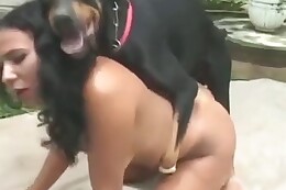 pussies
