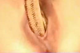 animal sex clips