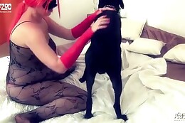dog