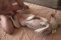 animal sex clips