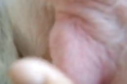 close up
