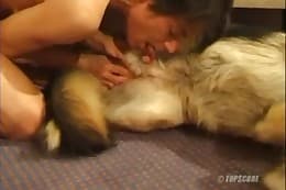 pet sex