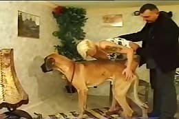 animal sex clips