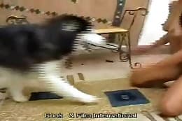 dog