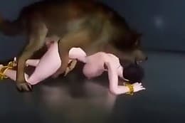 free animal porn
