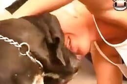 petslust