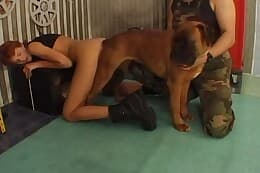 bestiality
