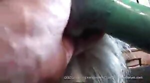 beastiality,bestiality-stories