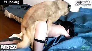 beastiality,animals-video