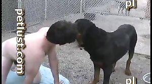 dog-xxx,beastiality