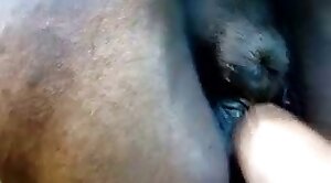 pussy,animals-video