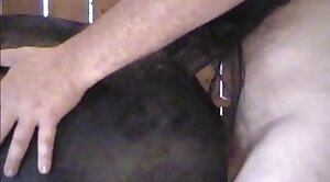 horse-sex,pussy