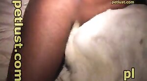 animal-porn,dog-xxx