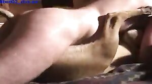 gape-videos,vile