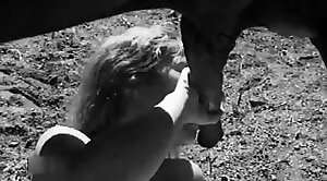 animals-video,sex-movie