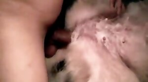 gape-videos,hardcore