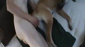 animal-fuck,guy