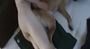 animal-fuck,guy