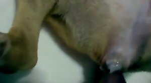 guy,horny