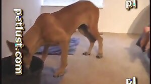 puss,dog-xxx