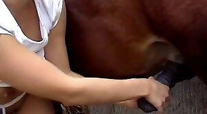 horse-sex,black