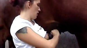 horse-sex,black
