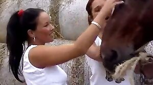 horse-sex,sex-movie