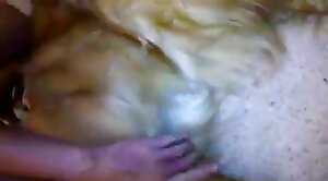 animal-fuck,hard