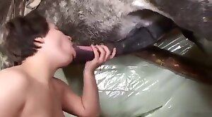 cock,sucks
