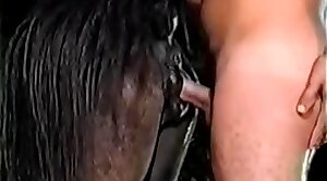nailing,animals-video