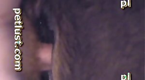 kinky,animal-fuck