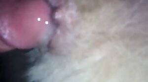 intercourse,wild