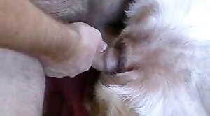 guy,animal-fuck