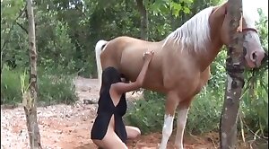 sex-movie,horse-sex