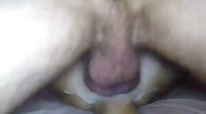 hentai-zoo,animal-porn