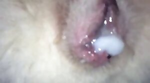intercourse,wild