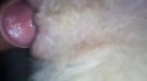 intercourse,wild