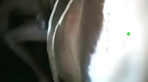 sex-movie,animal-porn