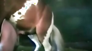 sex-movie,animal-porn
