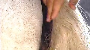 nastiest,animals-video