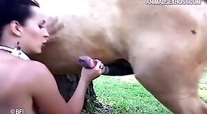 animal-fuck,horse-sex