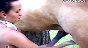 animal-fuck,horse-sex
