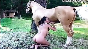 animal-fuck,horse-sex