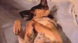 dude-porn,sex-movie