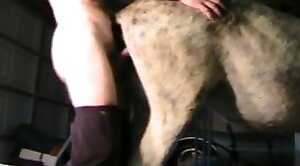 cums,beast