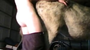 cums,beast